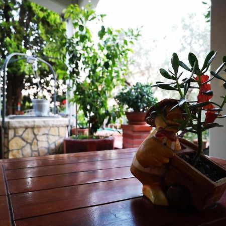 Casa Vacanze Sonia Apartment Амелиа Екстериор снимка