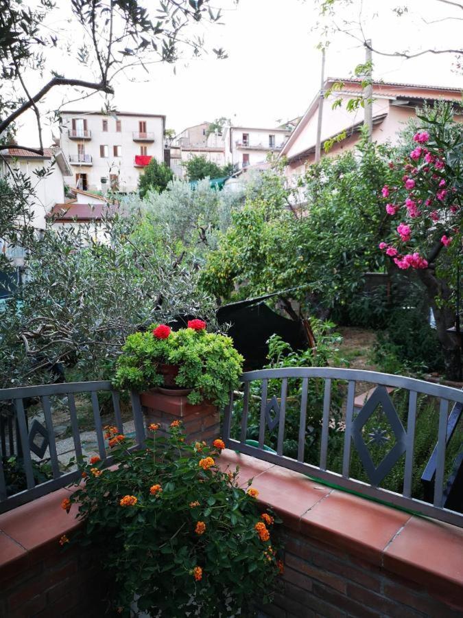 Casa Vacanze Sonia Apartment Амелиа Екстериор снимка